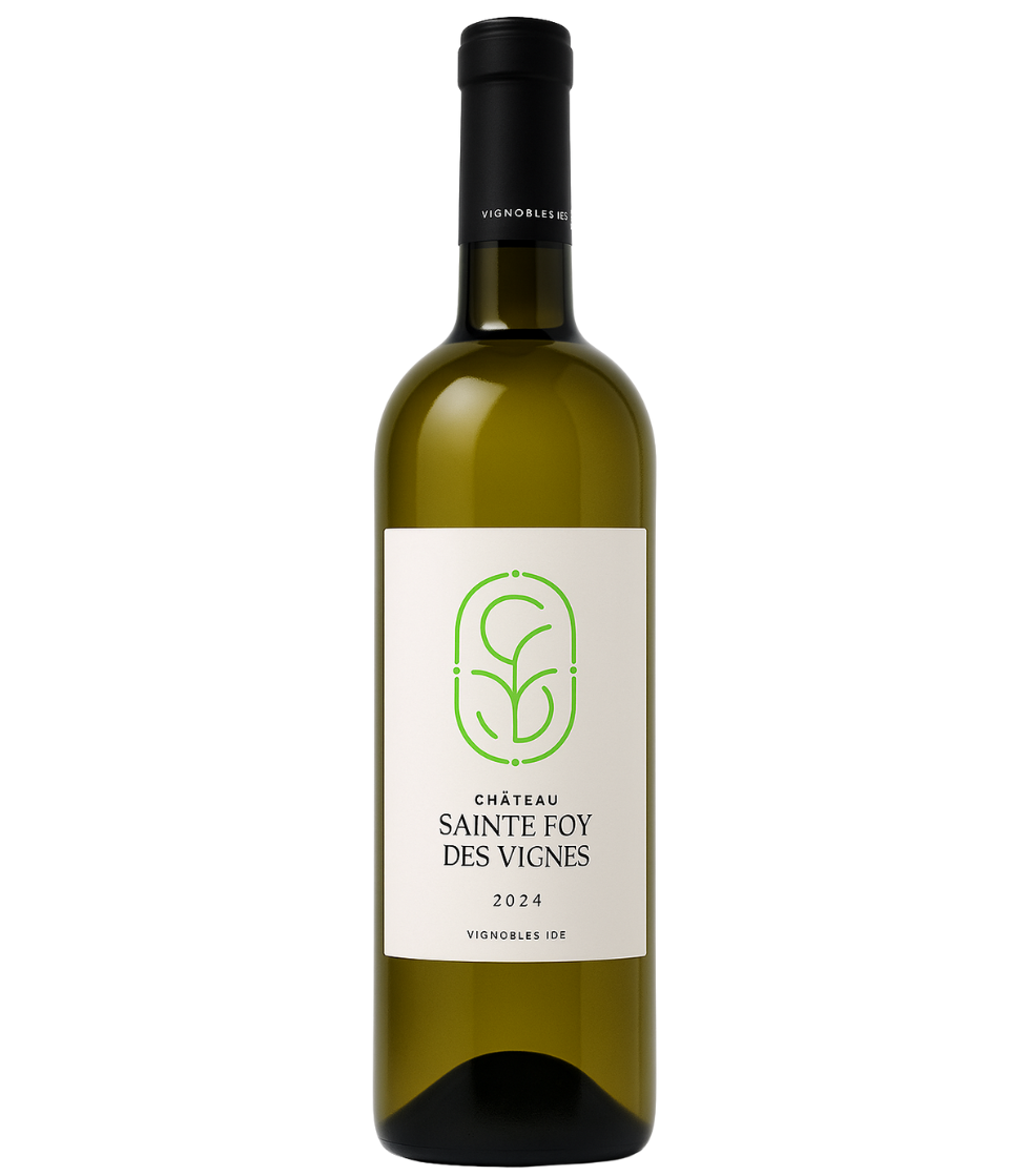 Château Sainte Foy des Vignes Bergerac Blanc 2024